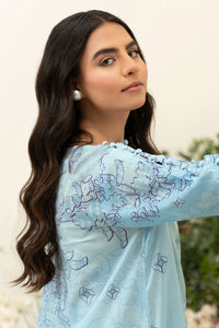 2 Piece - Unstitched Embroidered Lawn