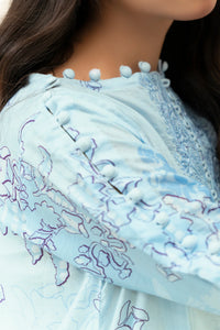 2 Piece - Unstitched Embroidered Lawn