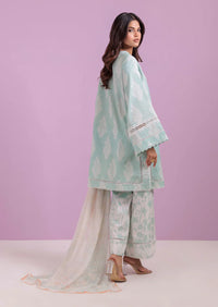 3 Piece - Printed Lawn Suit