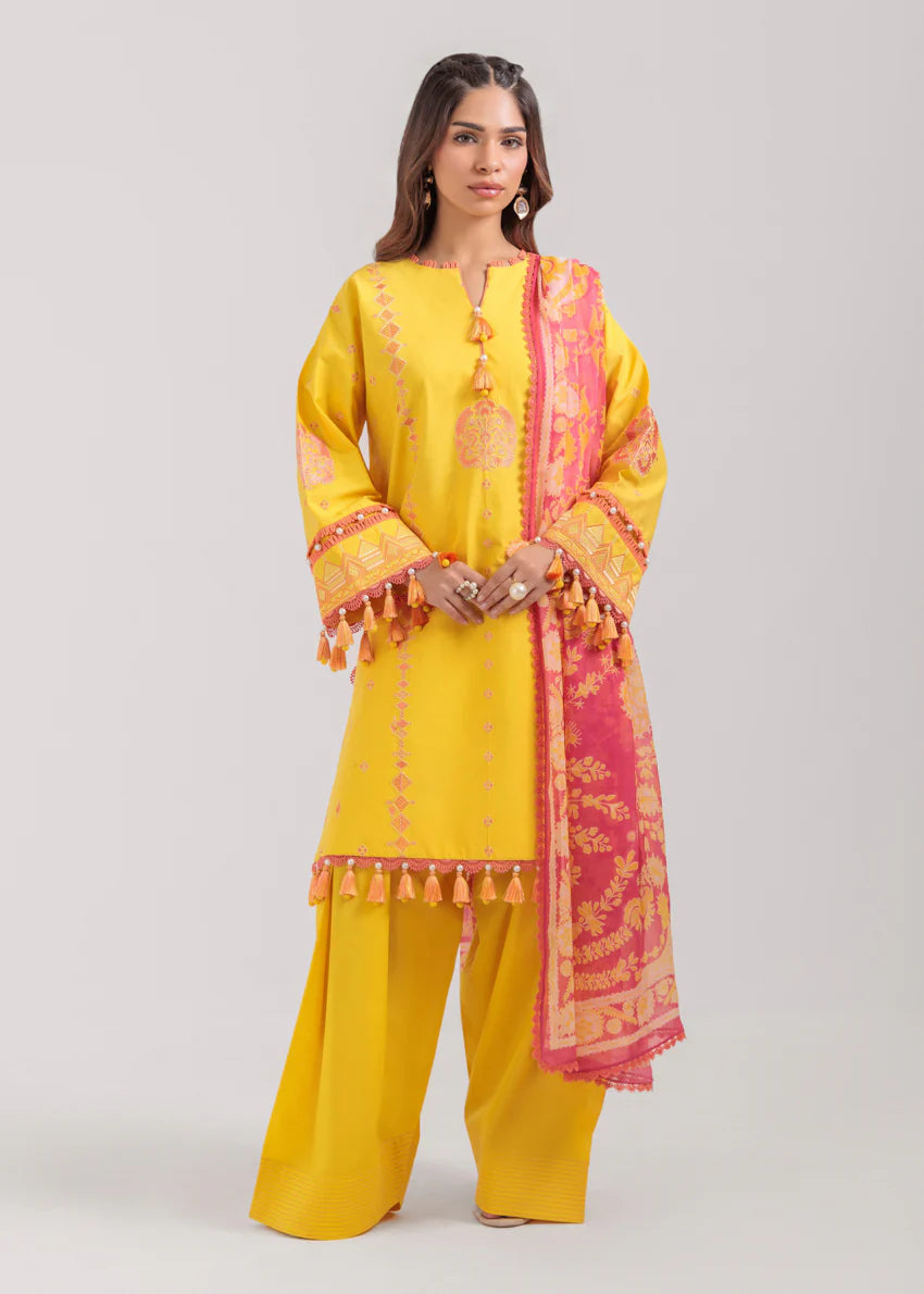 3 Piece - Embroidered Suit