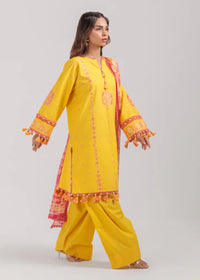 3 Piece - Embroidered Suit