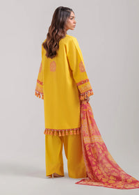 3 Piece - Embroidered Suit