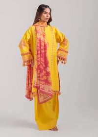 3 Piece - Embroidered Suit