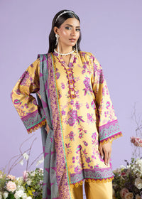 2 Piece - Printed Lawn Suit
