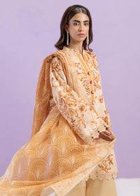2 Piece - Printed Lawn Suit