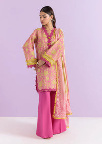 2 Piece - Printed Lawn Suit