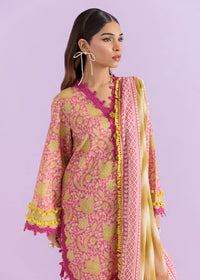 2 Piece - Printed Lawn Suit
